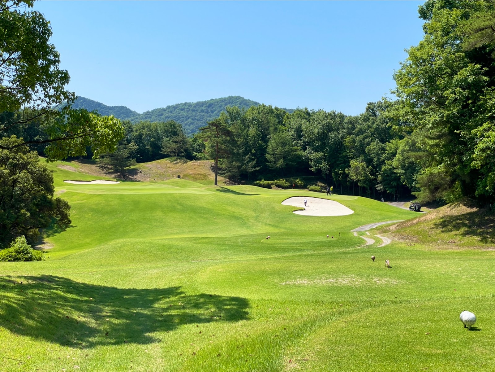 Gifuinaguchi Golf Club