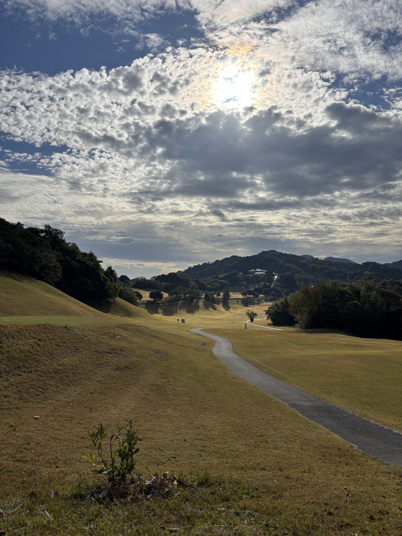 Blue Line Country Club - 2