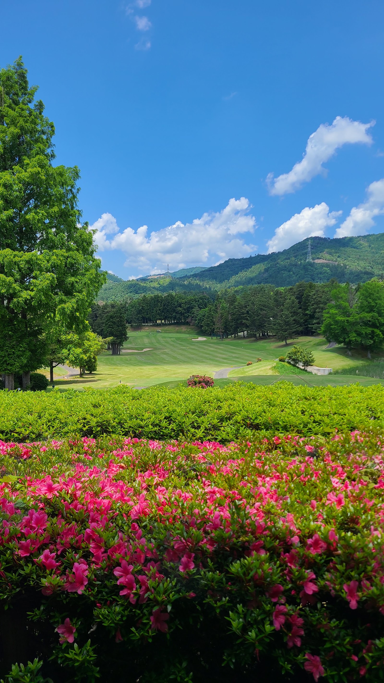 Fukui Country Club (Accordia Golf) - 6