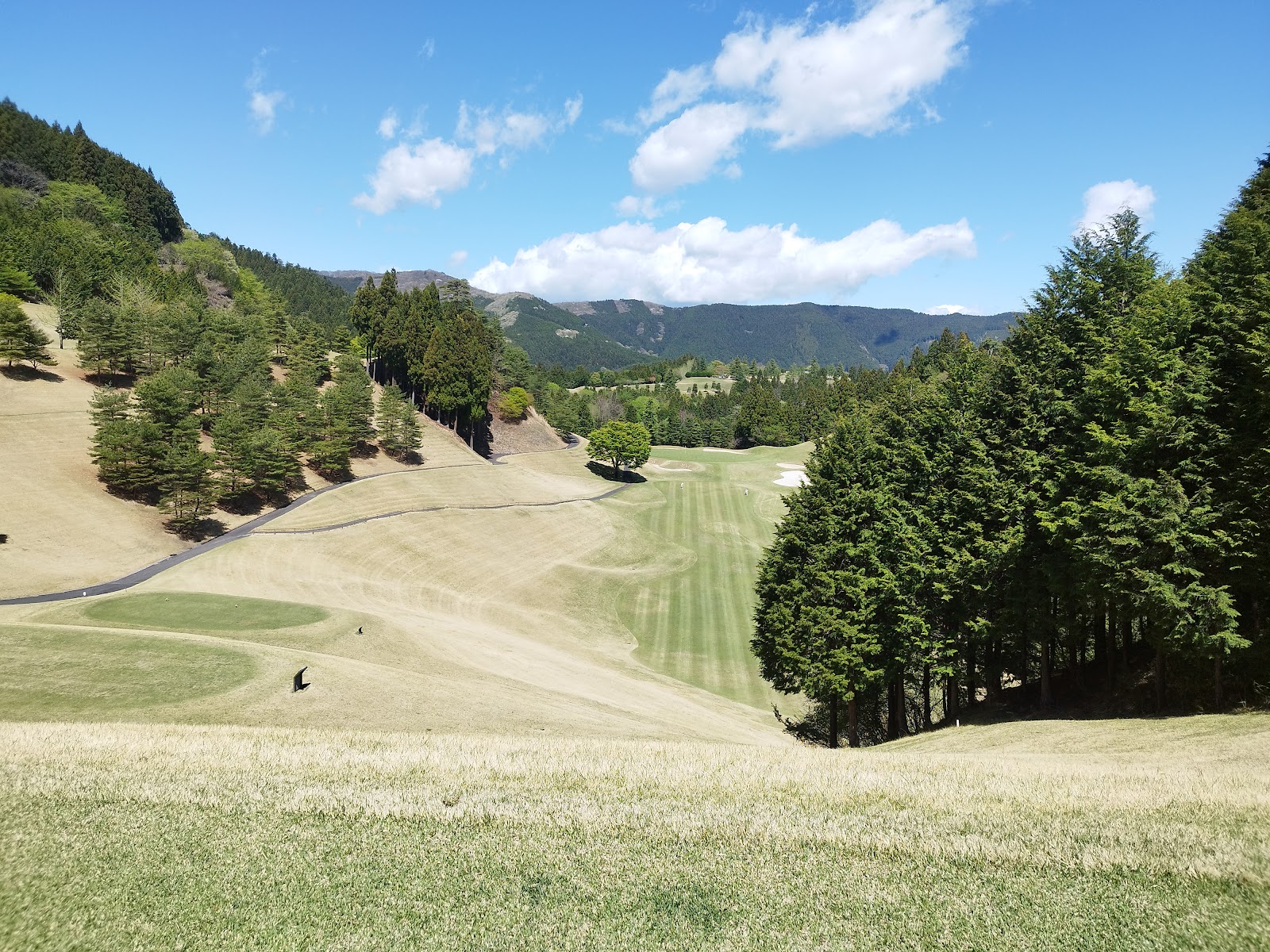 Ace Golf Club - Fujioka Courses