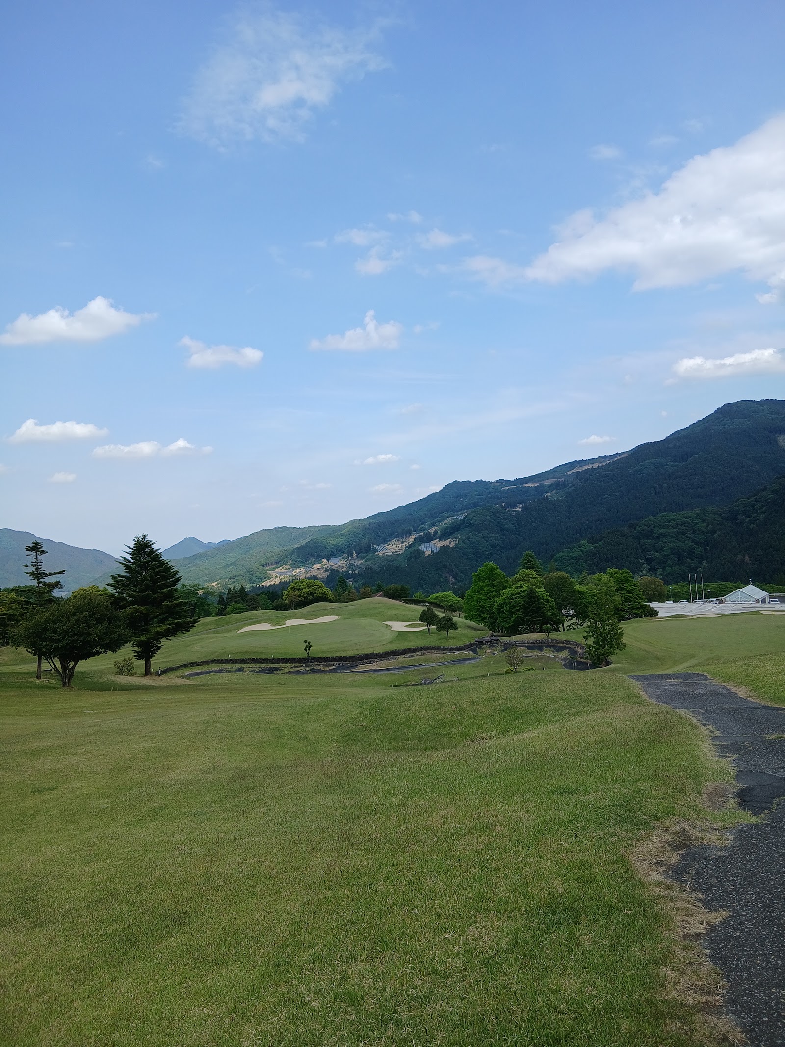Ace Golf Club - Fujioka Courses - 2