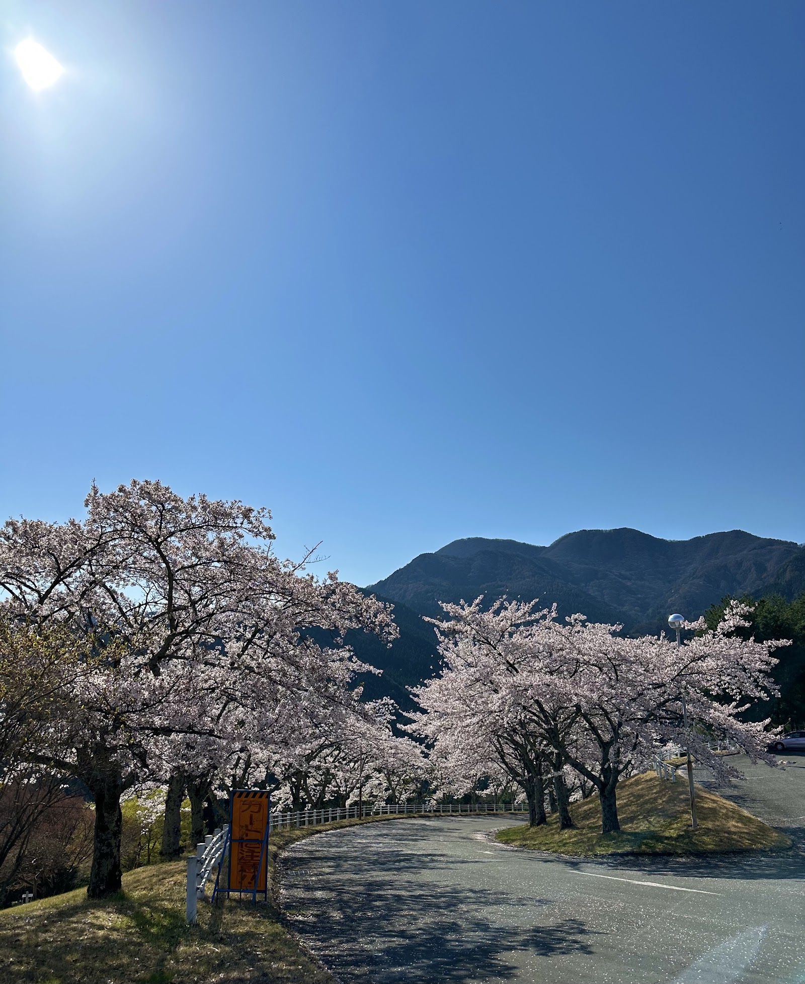 Ace Golf Club - Fujioka Courses - 4