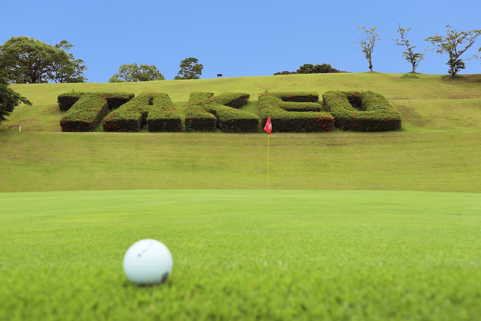 Takeo Golf Club - 3