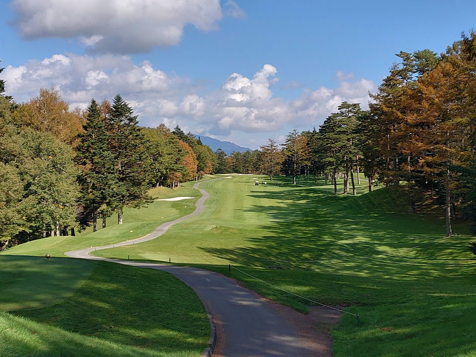 Forest Narusawa Golf & Country Club