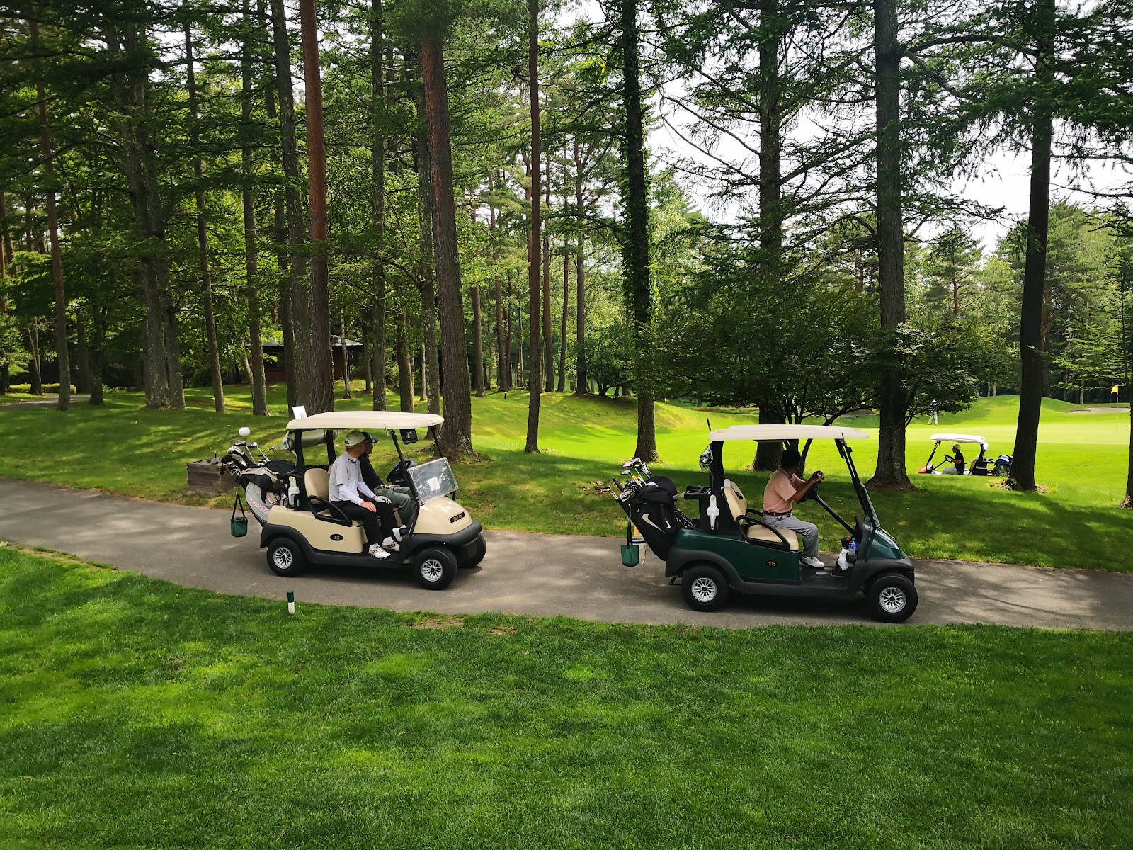 Forest Narusawa Golf & Country Club - 3