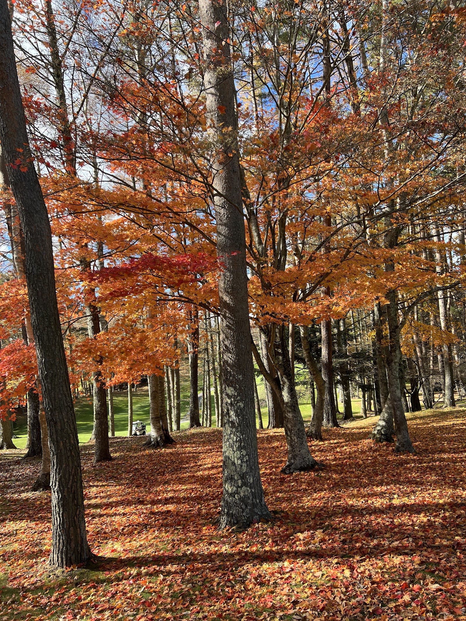 Forest Narusawa Golf & Country Club - 5
