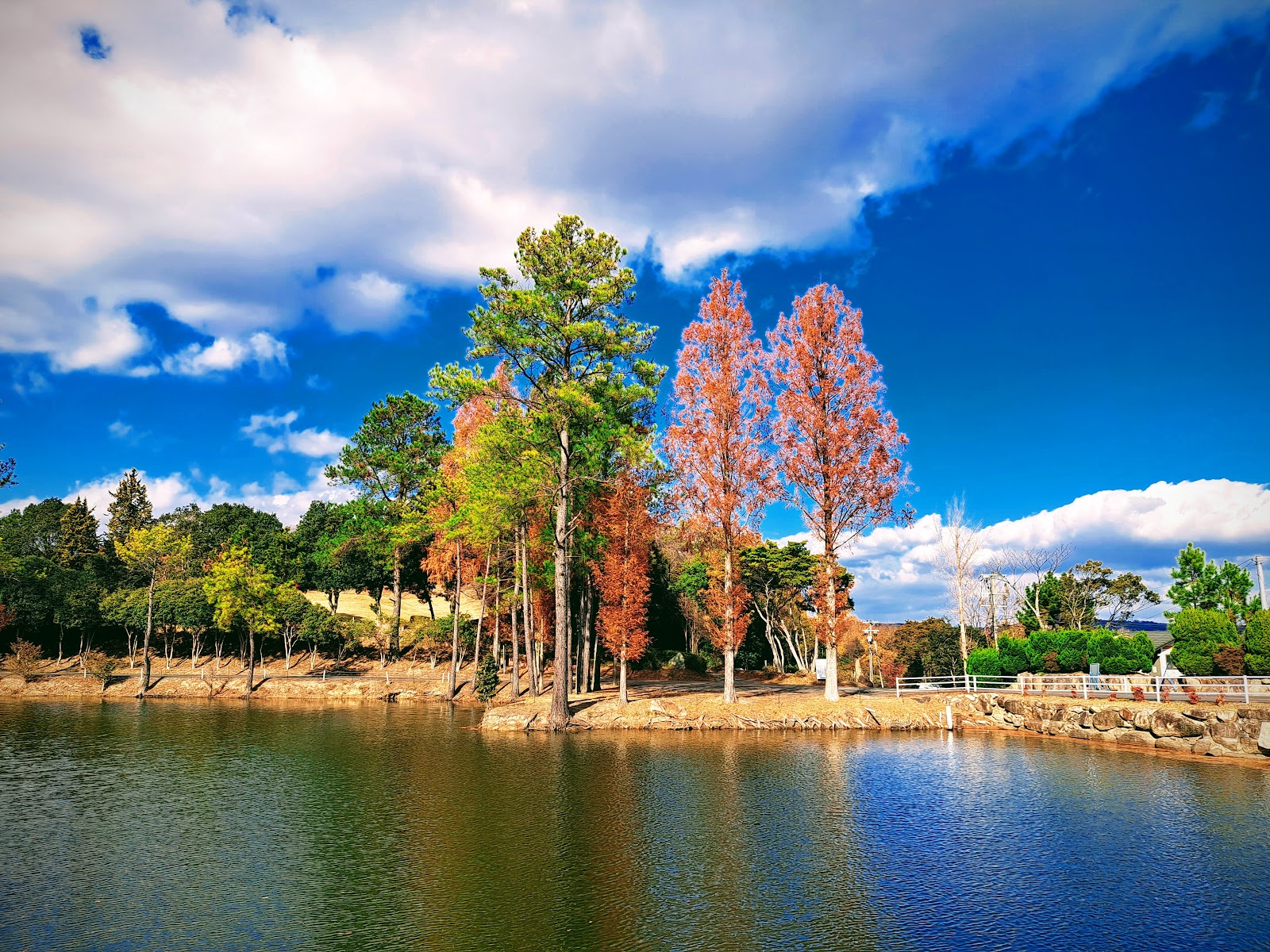 Shinokayama Golf Club - 2