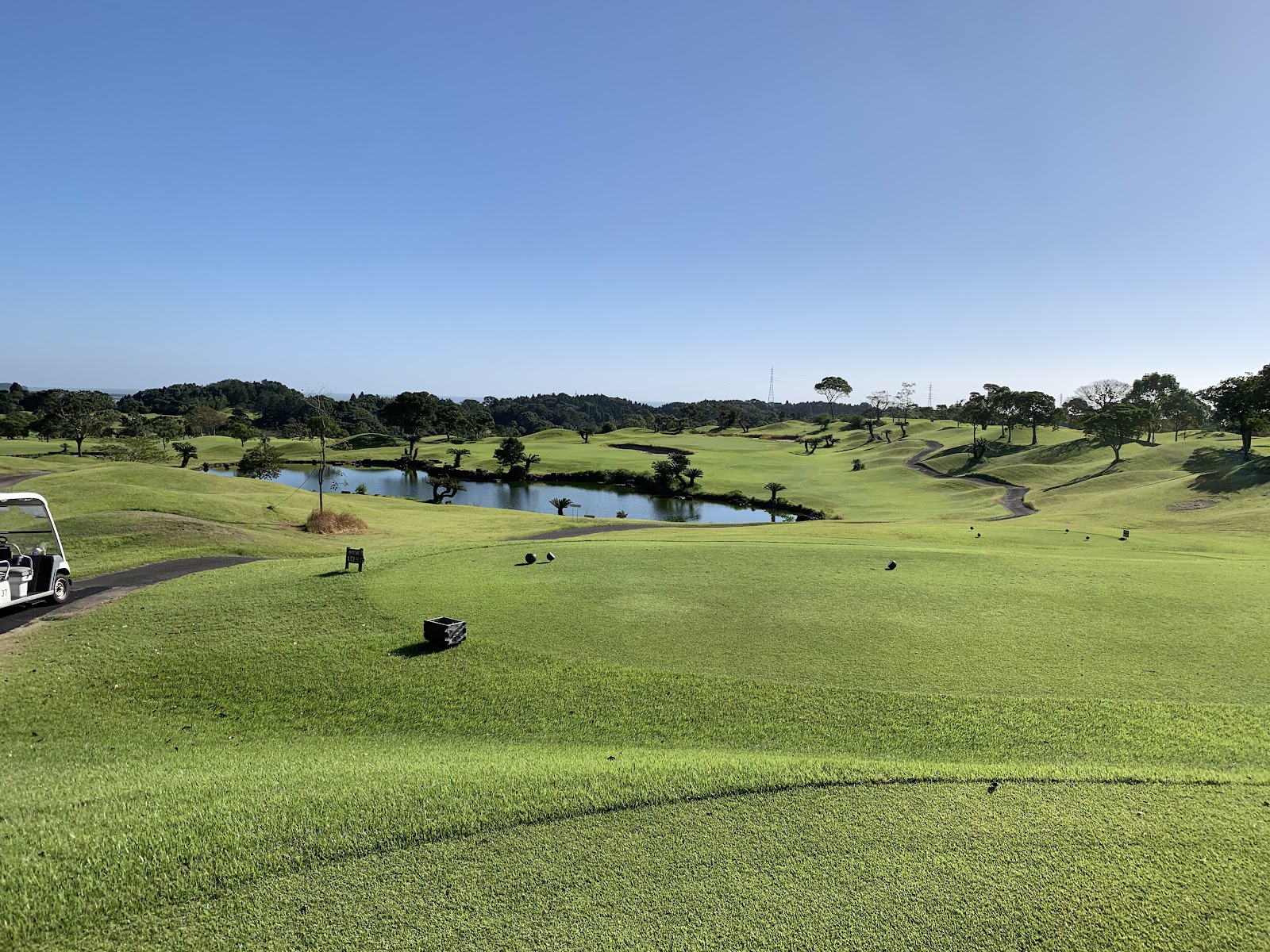 Hibiscus Golf Club - 2