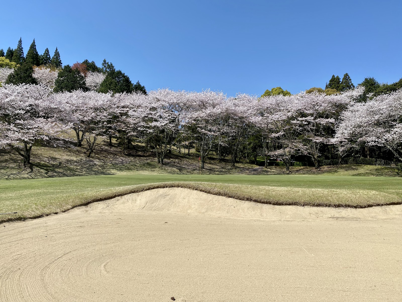 Oita Sunny Hill Golf Club - 4