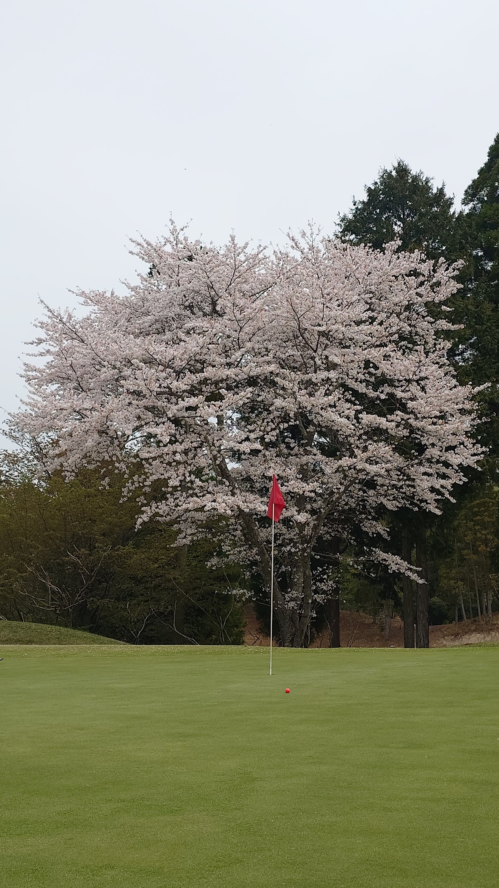 Oitatakenaka Country Club - 5
