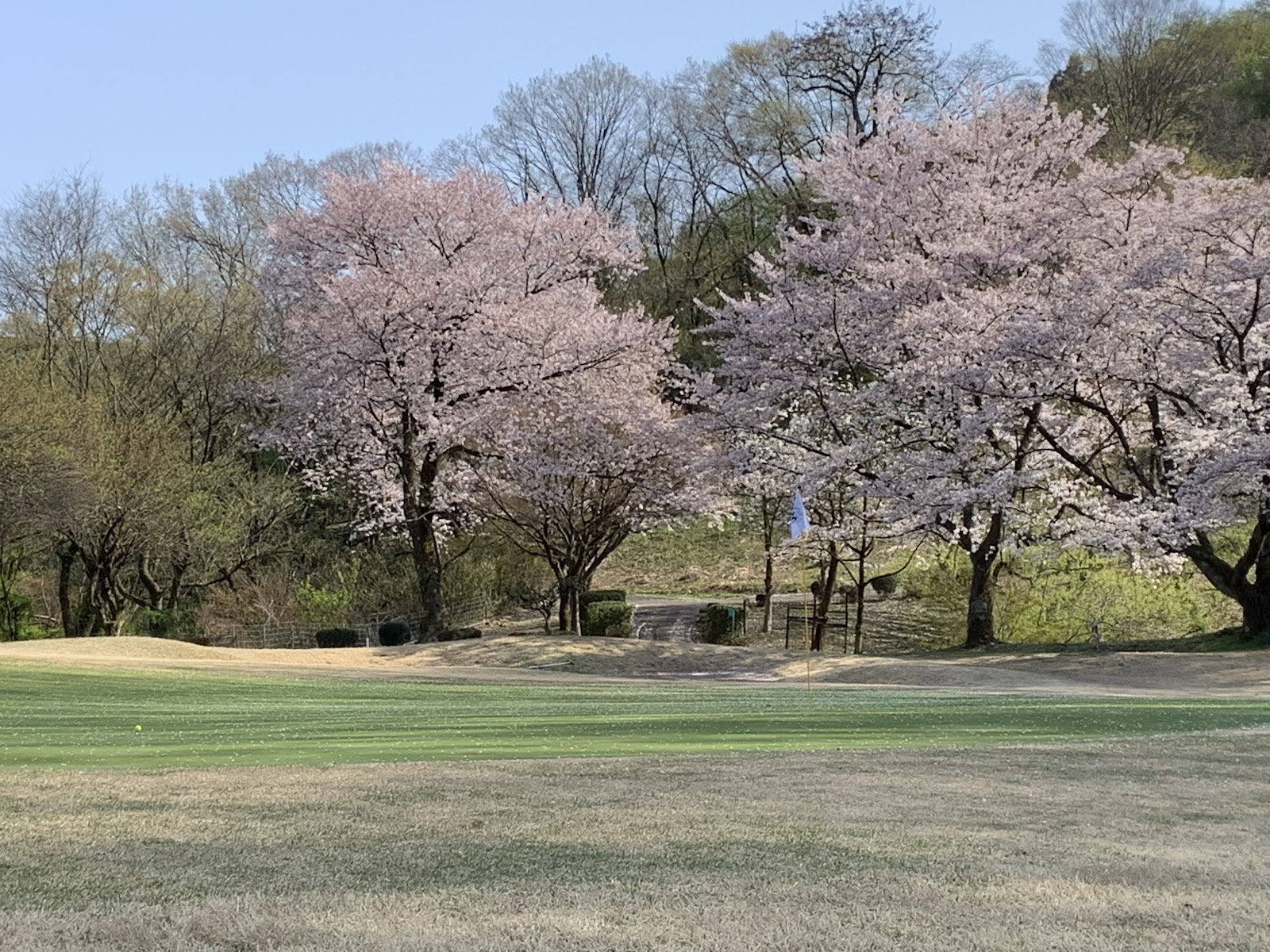 Suginokidai Golf Club - 2