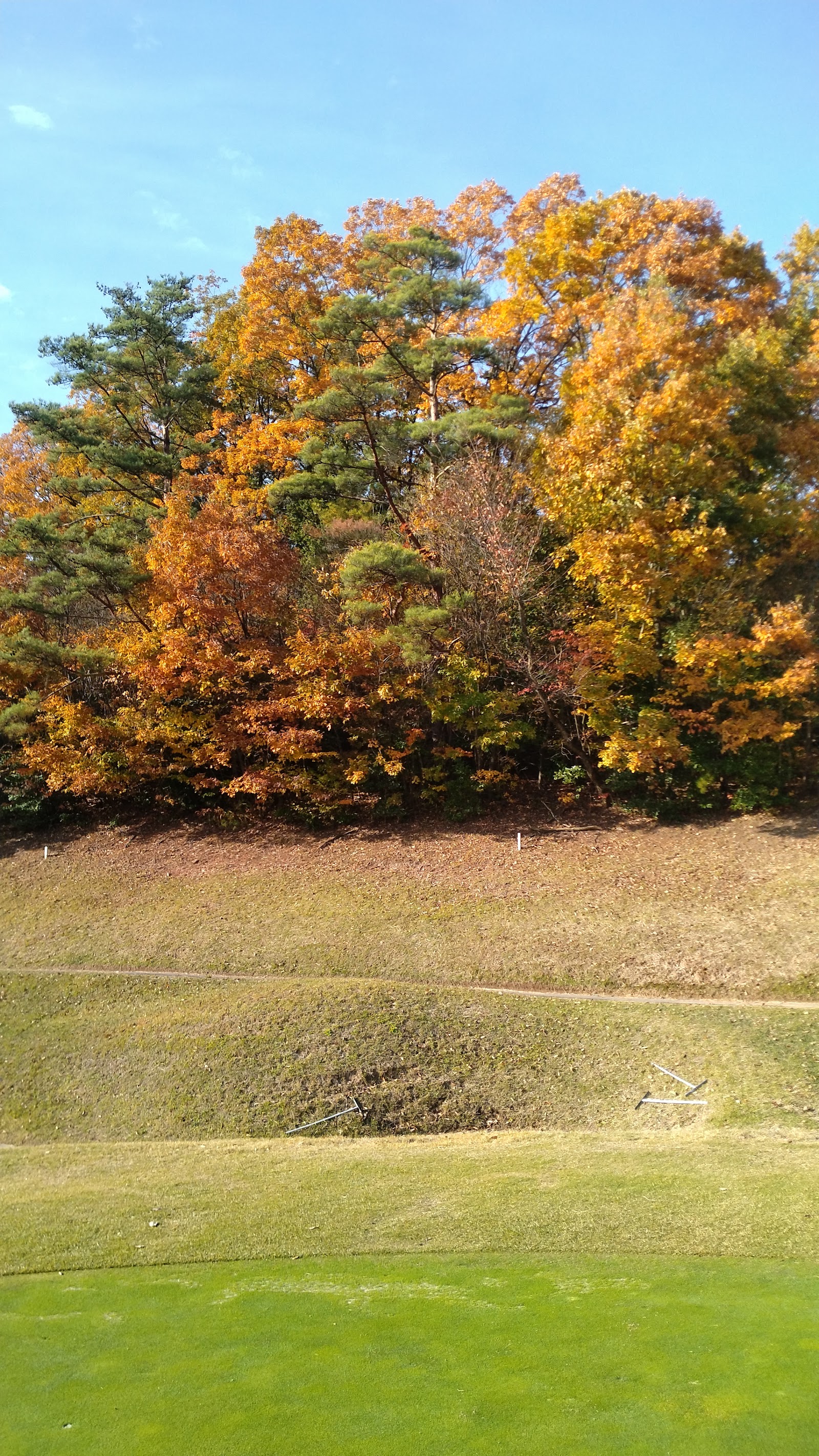 Suginokidai Golf Club - 4