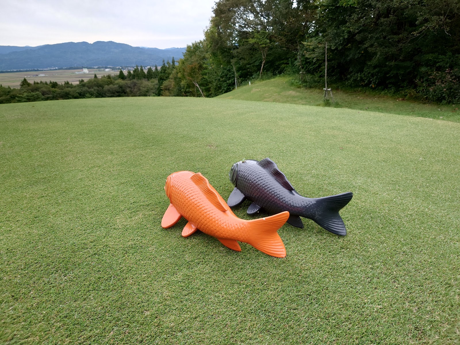 Ojiya Country Club - 2