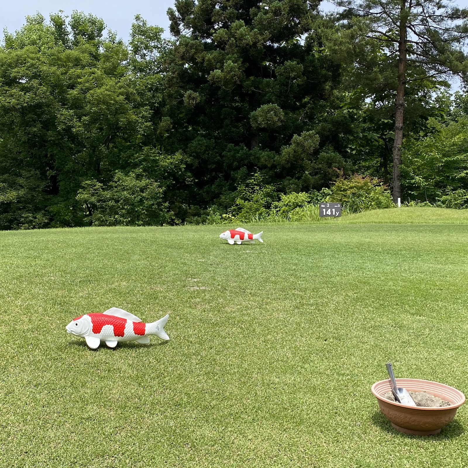 Ojiya Country Club - 3