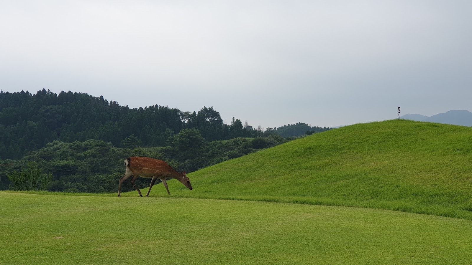 ASO SKY BLUE GOLF RESORT - 6