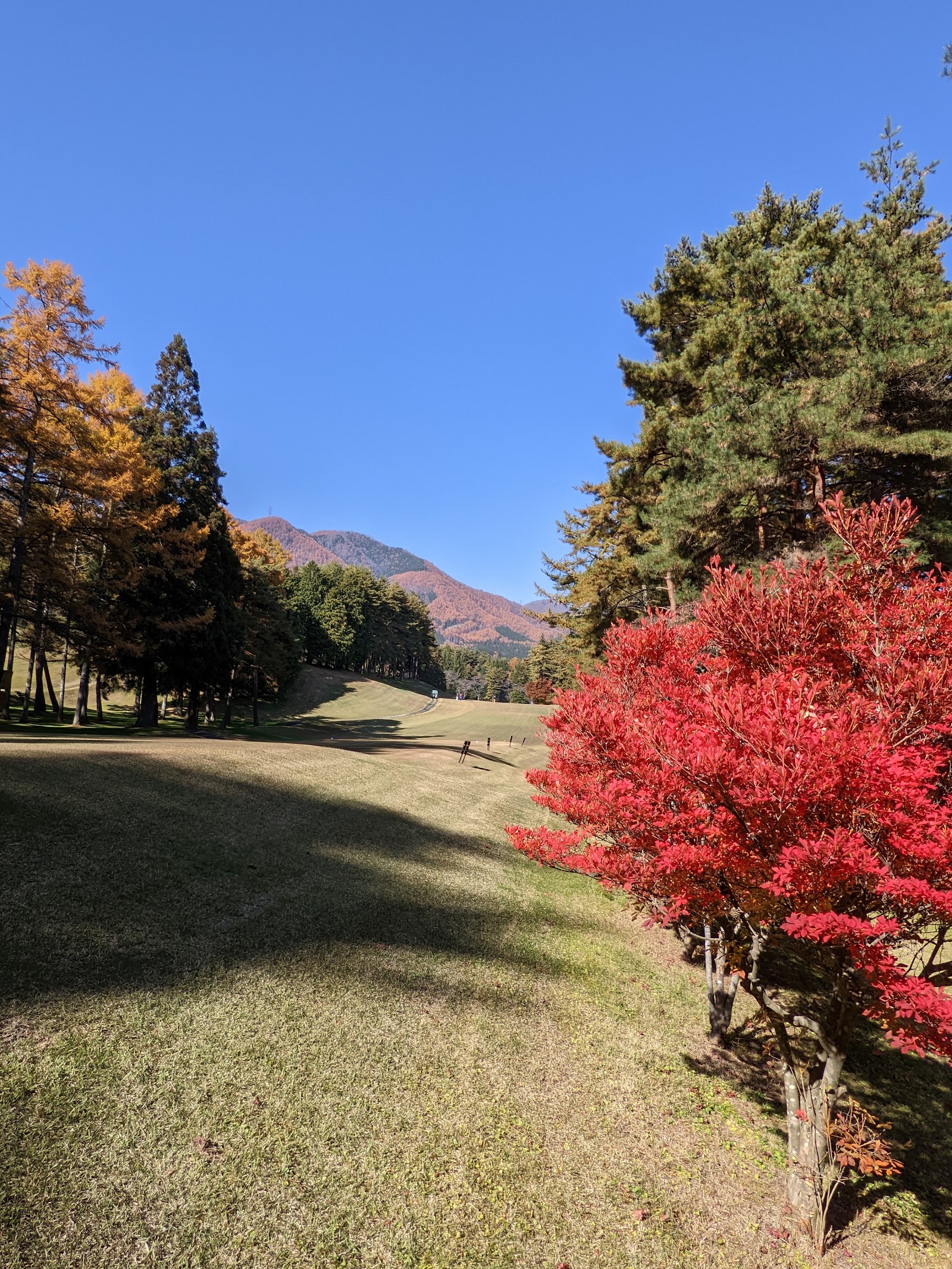 Hotaka Country Club - 5