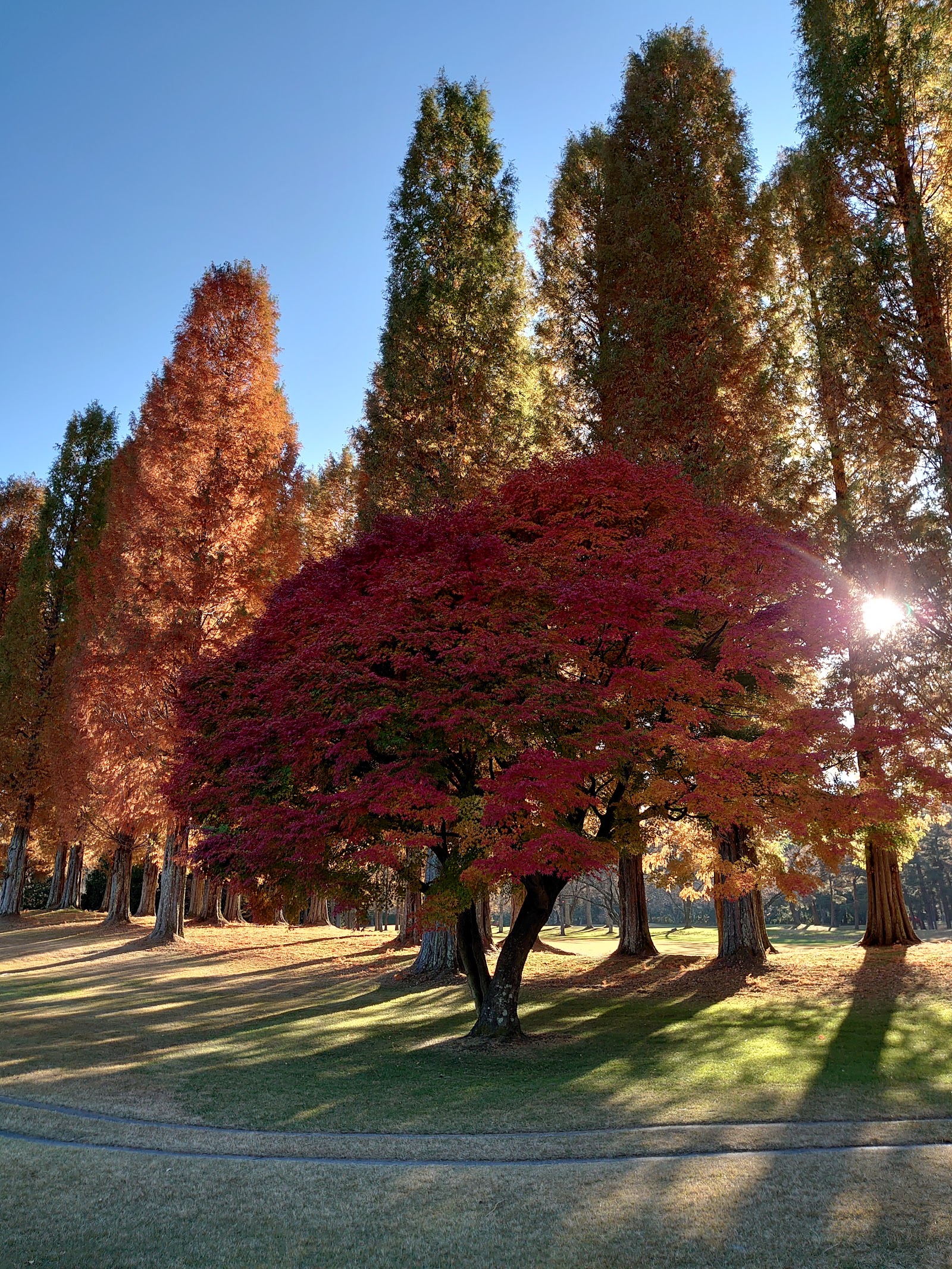 Hotaka Country Club - 6