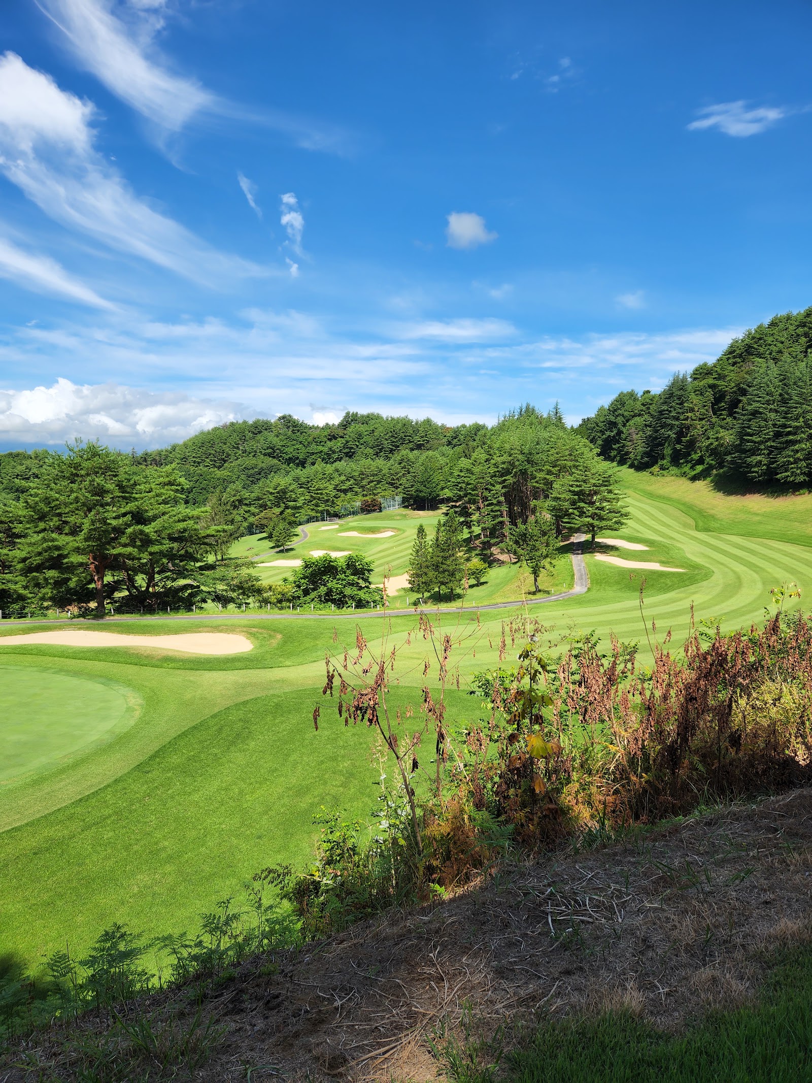 Country Club Green Valley - 3