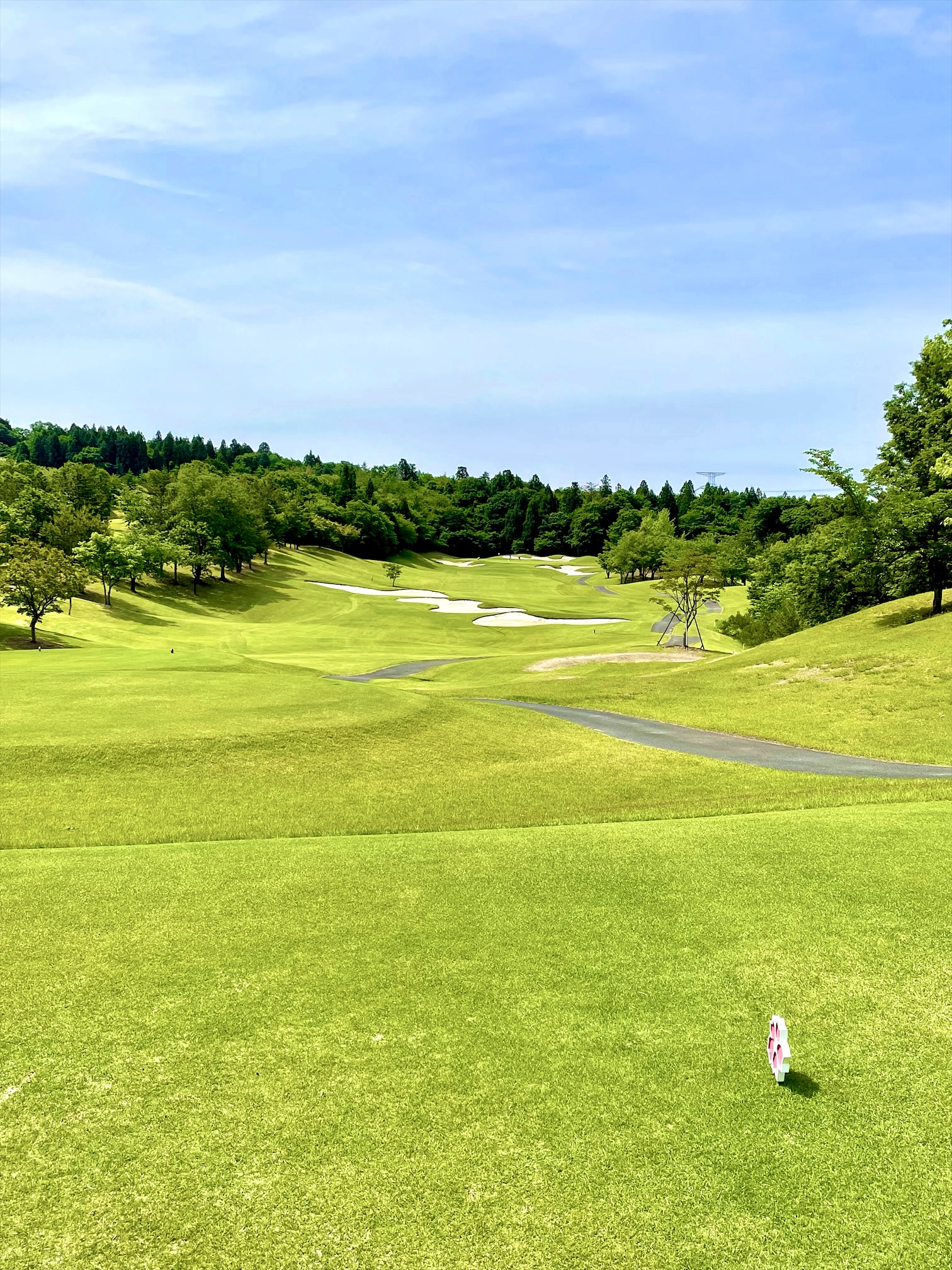 Nakamine Golf Club [PGM] - 5