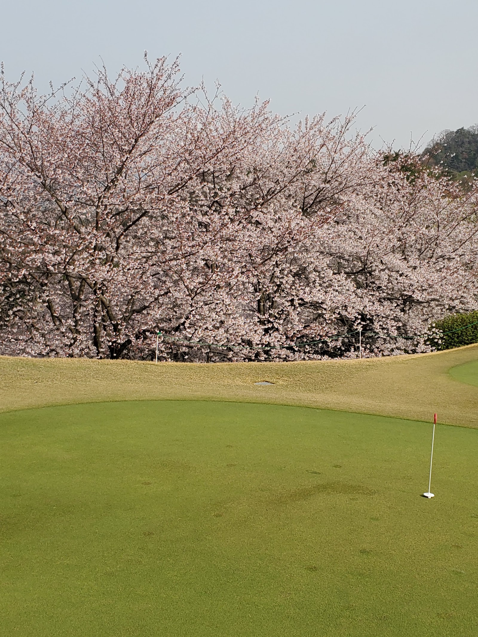 Hiroshima Golf Club Suzugamine Course - 4